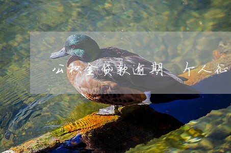 公积金贷款逾期 个人征信吗 公积金贷款逾期 个人征信吗